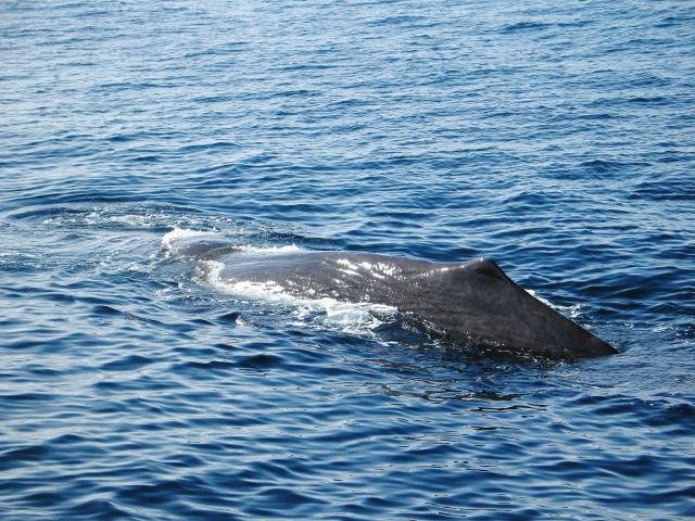 Urlaub in Norwegen 2006